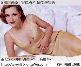 #我和明星比胸围# 身高 160cm，胸围 87cm，还用说吗？5与美国影星吉莉安-安德森的胸围最接近！有图有真相：