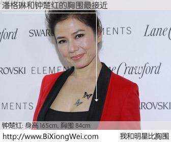 #我和明星比胸围# 身高 165cm，胸围 84cm，不言而喻，潘格琳与香港演员钟楚红的胸围最接近！有图有真相：