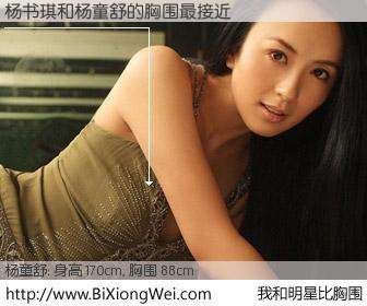 #我和明星比胸围# 身高 169cm，胸围 88cm，有目共睹，杨书琪与内地影星杨童舒的胸围最接近！有图有真相：