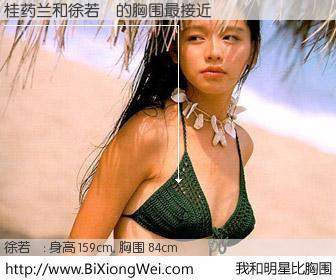 #我和明星比胸围# 身高 159cm，胸围 84cm，地球人都知道，桂药兰与台湾明星徐若瑄的胸围最接近！有图有真相：