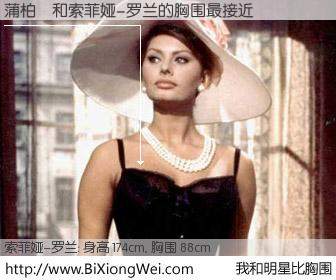 #我和明星比胸围# 身高 175cm，胸围 88cm，显而易见，蒲柏潤与意大利影星索菲娅-罗兰的胸围最接近！有图有真相：