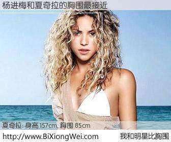 #我和明星比胸围# 身高 158cm，胸围 85cm，显而易见，杨进梅与美国歌星夏奇拉的胸围最接近！有图有真相：